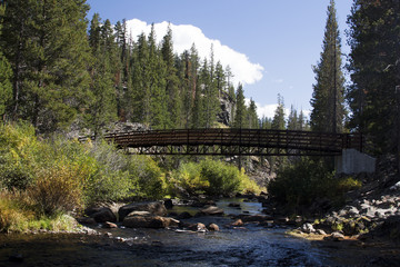 Fototapeta na wymiar Wooden Bridge on John Muir Trail