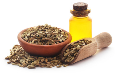 Fennel seeds with essential oil