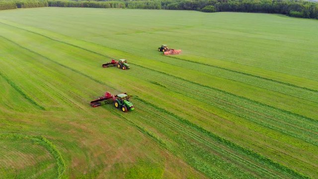 Tractors harvesting crop at dusk, teamwork in agriculture, aerial view.

