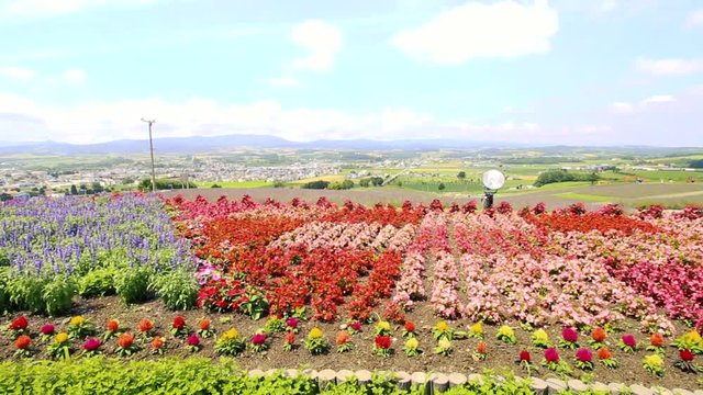 Japan Hokkaido Furano Tomita Farm 2