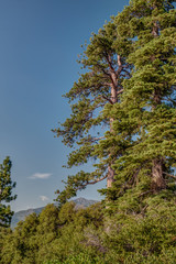 Lake Tahoe the Twinkle in Mother Nature’s Eye
