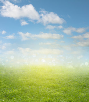 Spring grass and sky