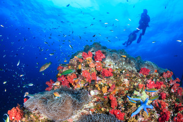 Fototapeta na wymiar SCUBA divers swimming over a beautiful, colorful tropical coral reef at dawn