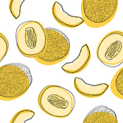 Seamless pattern with sliced japanese melons, orange melon or cantaloupe melon isolated on white background.