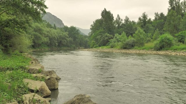 4k mountain river among the green leaves forest