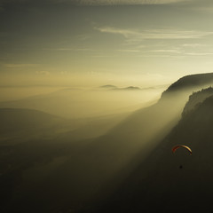 Paraglider