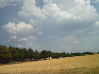 Superb view after storm nature adventure in Germany country side