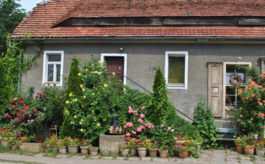 Dom w ogrodzie