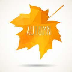 Triangular maple leaf