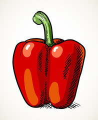 Sweet red bell pepper vegetable illustration