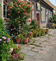 Fototapeta na wymiar Kwiaty w donicach przed domem