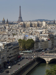 View of Paris from Notre Dame