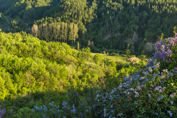 Amazing Spring Landscape near rock formation Stob pyramids, Rila Mountain, Kyustendil region, Bulgaria