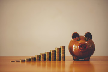 gold coin with with the piggy bank