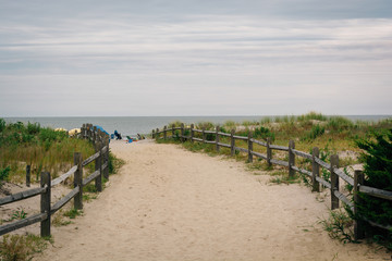 Fototapeta na wymiar Path to the beach in Ocean City, New Jersey.