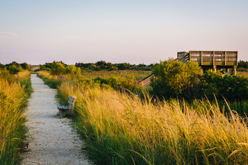 Trail and a bird blind at South Cape May Meadows, in Cape May, New Jersey.