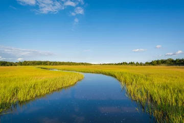 Foto op Plexiglas Wetlands in Egg Harbor Township, New Jersey © jonbilous