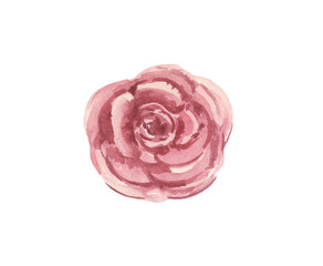 Watercolor stylized rose flower