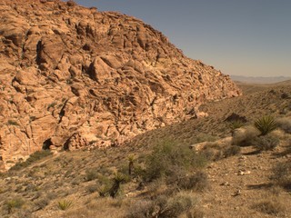 Nevada Desert