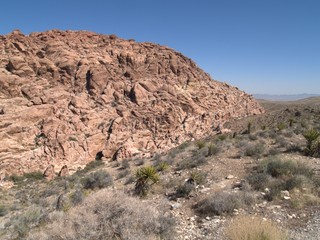 Nevada Desert