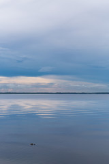 Fototapeta premium Gator in Lake