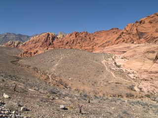 Nevada Desert