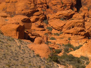 Nevada Desert