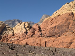 Nevada Desert