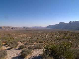 Neveda Desert
