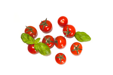 Isolated fresh red and orange cherry tomatoes with green leafs of basil