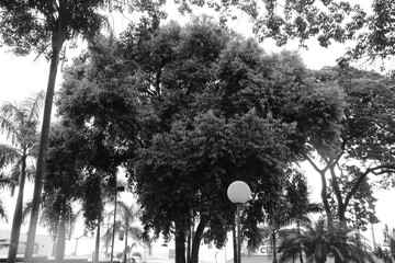 Fotografia