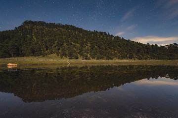 stary night reflects over a lake