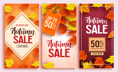Autumn sale vector poster design set with colorful maple leaves element in background and sale discount text for fall season shopping promotion. Vector illustration.
