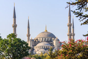 Fototapeta na wymiar View of the Blue Mosque