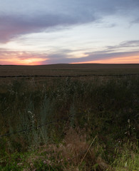 Meadow with tall grass in the foreground and a Blue, Purple and Orange Sunset Above.