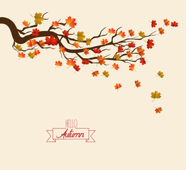Hello autumn. Autumn landscape with autumn leaves on the branches of trees