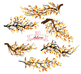 Hello autumn. Autumn landscape with autumn leaves on the branches of trees