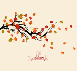 Hello autumn. Autumn landscape with autumn leaves on the branches of trees