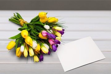 Bright tulips bouquet on colorful background