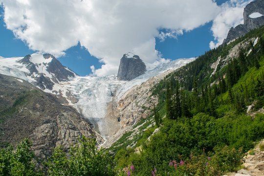 Hound's Tooth, Bugaboos