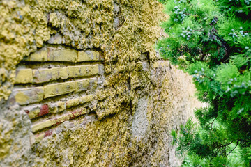Wall background with rough and aged texture