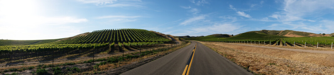 Wine Country Road