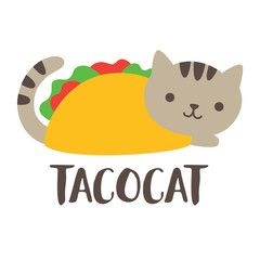 Cute and funny taco cat vector illustration.