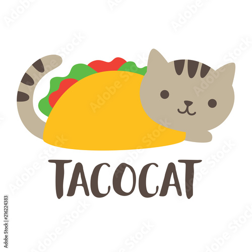 "Cute and funny taco cat vector illustration." Stock image and royalty