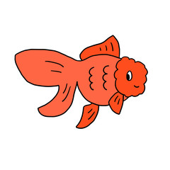 金魚のオランダ獅子頭