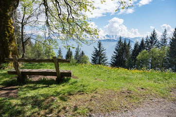 Wooden bench overlooking alpine forest and swiss mountain range in the background.