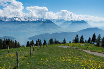 View from mount rigi of lake lucerne, the local flora and surrounding mountain ranges in switzerland.