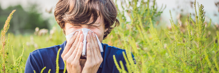 Young man sneezes because of an allergy to ragweed BANNER, long format - obrazy, fototapety, plakaty