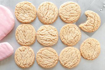 Yummy Fresh Homemade Baked Peanut Butter Cookies On Cookie Sheet