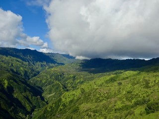 Obraz premium Kawaii